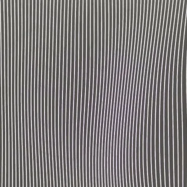 Waves of Perception